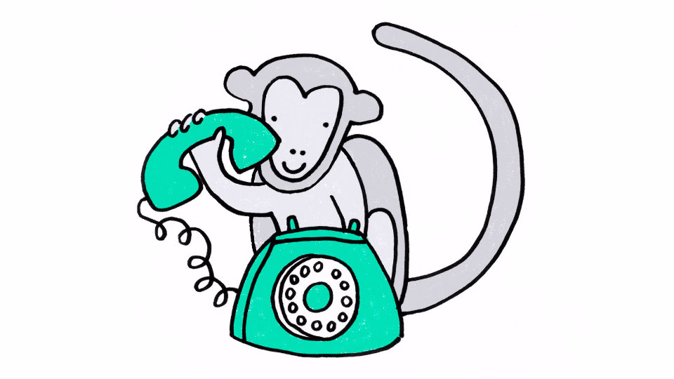 Elephant holding a crate