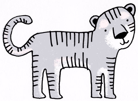 Tiger Illustration