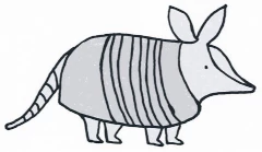 Armadillo