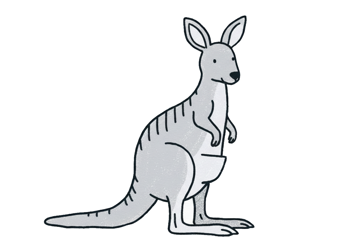 Kangaroo