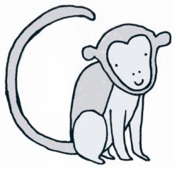 Monkey