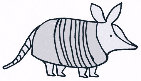 Armadillo Illustration